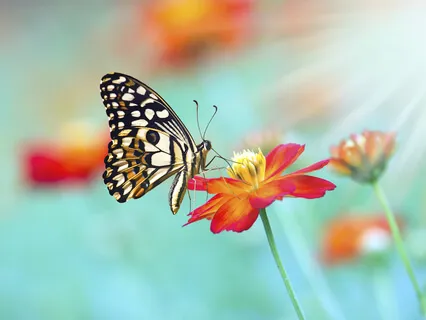 Awaken God Consciousness