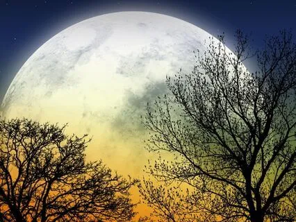 Awaken Inner Power And Wisdom With The Griffin’s Guidance