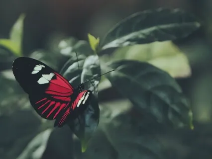 Awaken Life Force Meditation  + Send Healing Love Energy