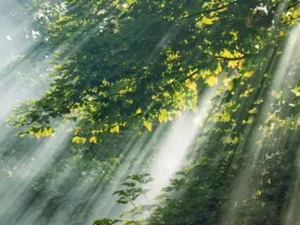 Awaken Miracles With The Angel Adniel