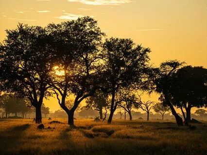 Awaken My Soul: A Morning Prayer