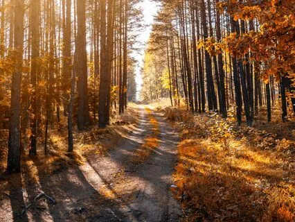 Awaken Peace & Believe In Life