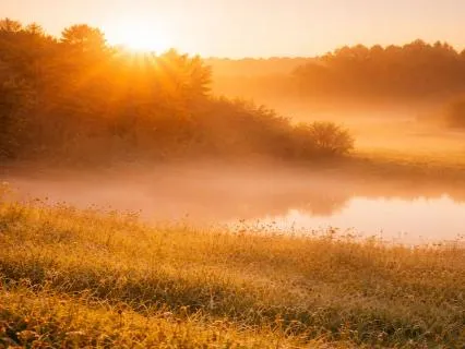 Awaken The Energy Within: A Gentle Morning Meditation