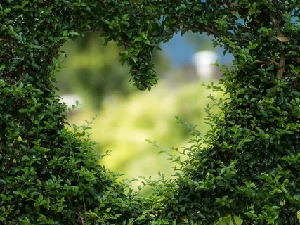 Awaken The Heart And Cultivate Love