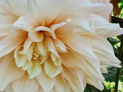Awaken The Heart: From Fear To Flow