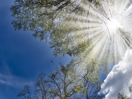 Awaken The Light Within