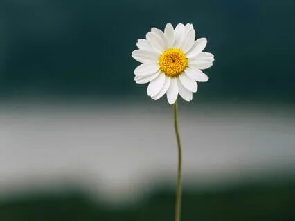 Awaken The Power Of Your Intuition