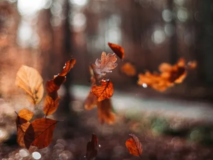 Awaken To The Moment