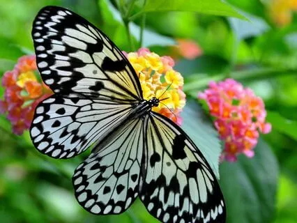 Awaken to All That You Are