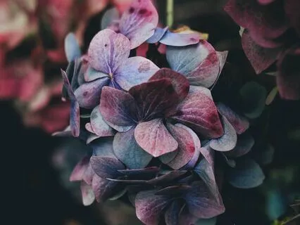 Awaken To Self-Love | Breathing & Meditation