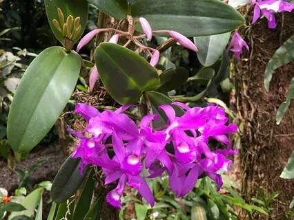 Awaken To The Present Moment!