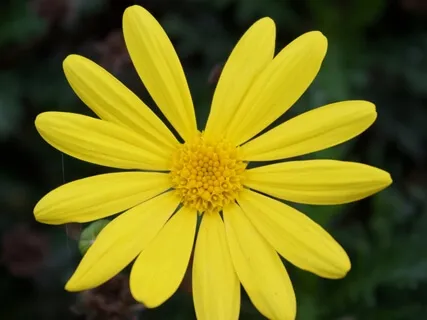 Awaken To The Spring Within You