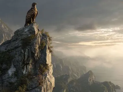 Awaken To The Success You Truly Deserve