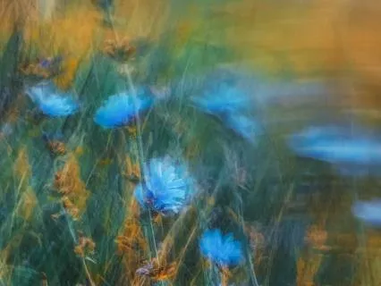 Awaken To Your True Self | A Morning Prayer
