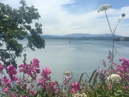 Body Scan For Inner Presence