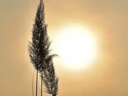 Awaken With Breath (888 Hz)