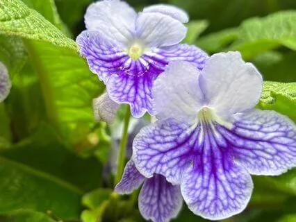 Awaken With Confidence