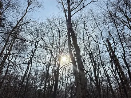 Awaken With Love: A Morning Meditation For Peace & Intention