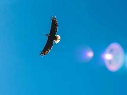 Awaken Your Authentic Truth Energy Clearing + Activation