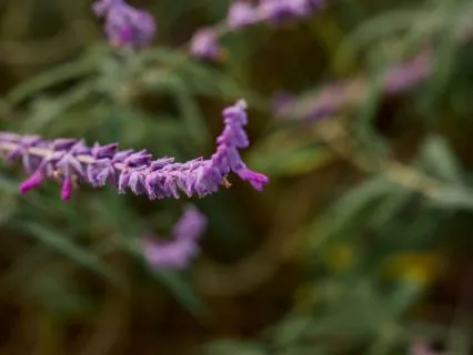 Awaken Your Breath – Day 3 Of 7 | Enliven The Exhale