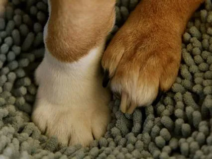 Awaken Your Breath – Day 6 Of 7 | Flower Hands