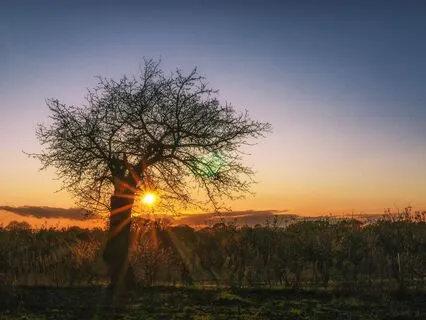 Awaken Your Day With Gratitude: Morning Practice