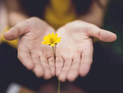 Awaken Your Heart Morning Meditation