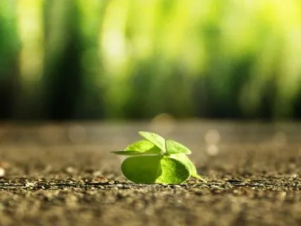 Awaken Your Inner Confidence