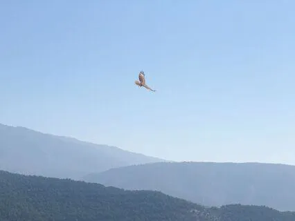 Awaken Your Inner Wisdom: Clarity And Intuitive Insight