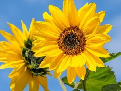 Awaken Your Inner Worth And Reclaim Your Power