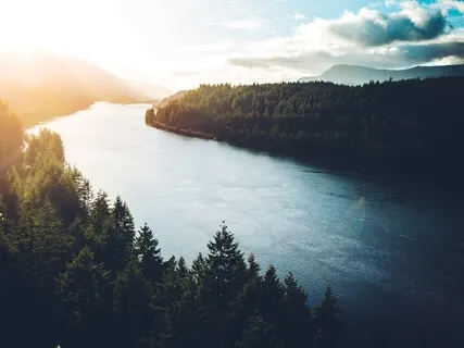 Awaken Your Intuition