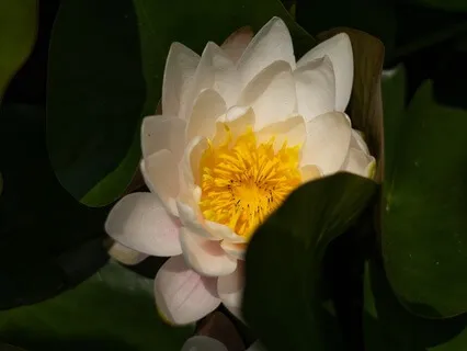 Awaken Your Intuition - Connect With Your Higher Self