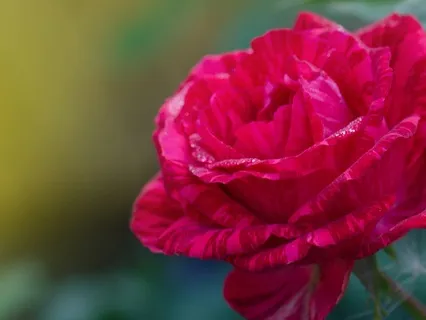 Awaken Your Intuition