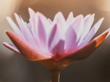 Awaken Your Intuitive Knowing