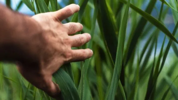 Awaken Your Intuiton  - 741Hz Solfeggio Healing Music - 1 Hour Daily Insight