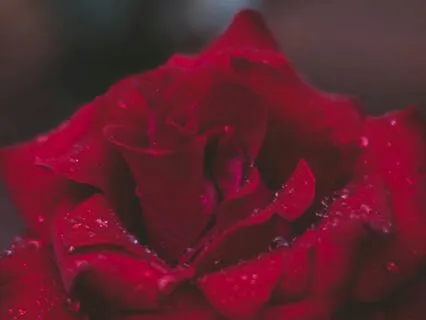 Awaken Your Sensuality To Attract More Love