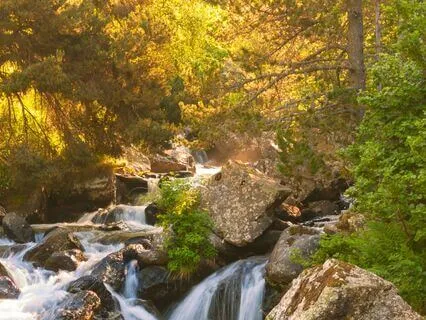 Awaken Your Sixth Sense: Intuition Unlocked