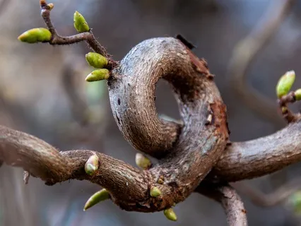 Awaken Your Soul: A Powerful Spring Equinox Renewal