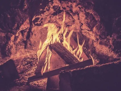 Awaken Your True Passion