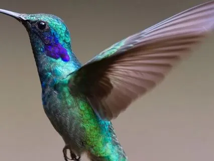 Awakened Awareness: 432 Hz Frequencies for Mindful Presence