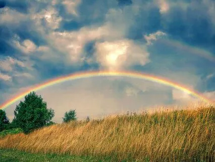 Awakened Spectrum: Solfeggio & Full Chakra Activation