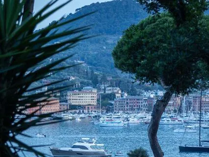 Awakening Abundance & Prosperity