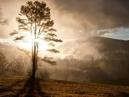 Awakening Acceptance Meditation