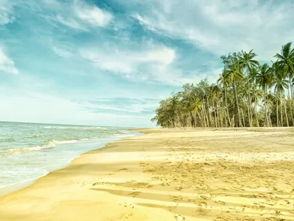 Awakening And Ascension