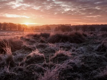 Awakening & Expanding Consciousness