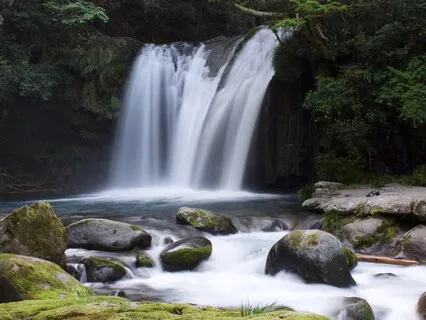 Awakening At The Mystic Falls
