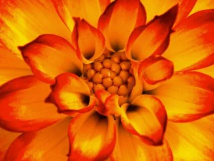 Awaken Awaken Meditation