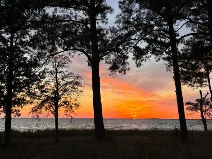 Awakening Awe: Breathing Into Nature For Grounded Resilience
