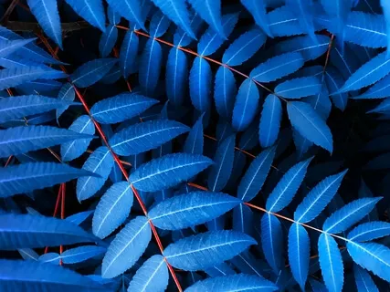 Awakening - Blue Chakra For The Throat - Key Of G