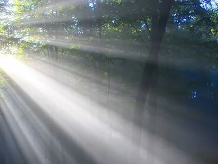 Awakening Chakras 8-12: The Vibrations Of The True Self